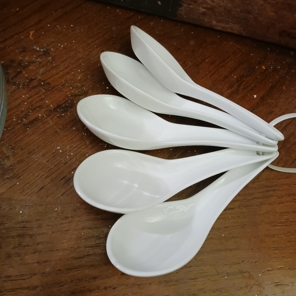 🥣Pier 1 Asian noodle bowl soup spoons🥄🥥🍅A Wonderful ☕️ Gift Giving Item.♥️ - Picture 2 of 4